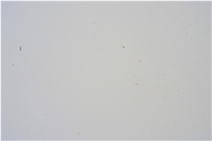 Blanco Moabi Limestone Slabs