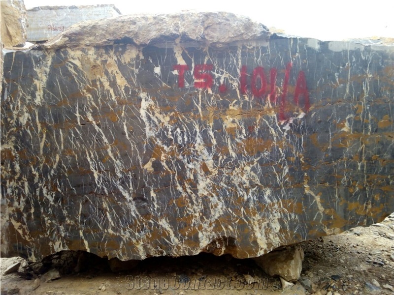 Black & Gold Marble Block