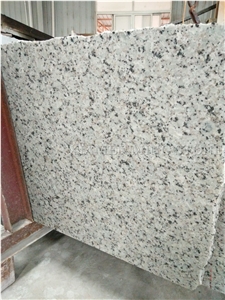 China Bala Flower White Granite Honed Tile,Bianco Sardo,Ocean White Bala White Flower Granite Tiles,Floor Covering Tiles/Interior Walling China Bala Flower White Granite Honed Tile,Bianco Sardo,Ocean White Bala White Flower Granite Tiles,Floor Covering Tiles/Interior Walling