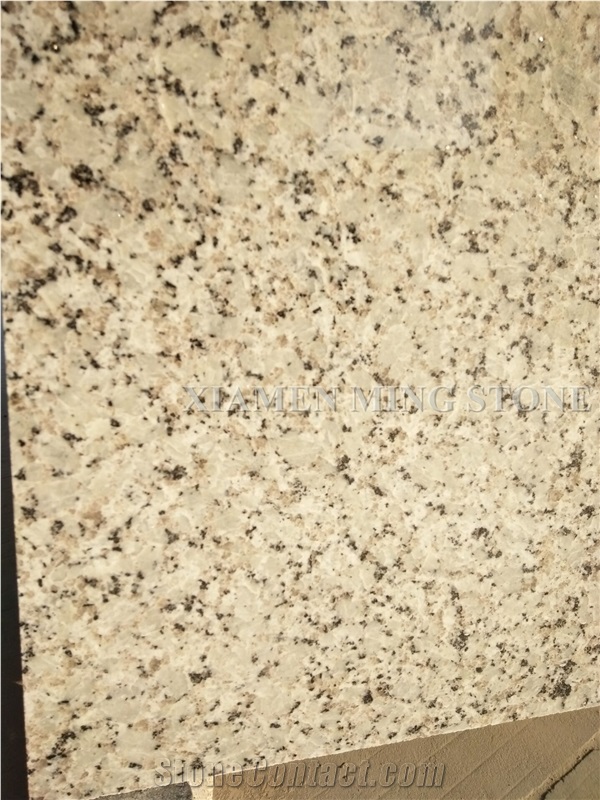 China Bala Flower White Granite Honed Tile,Bianco Sardo,Ocean White Bala White Flower Granite Tiles,Floor Covering Tiles/Interior Walling