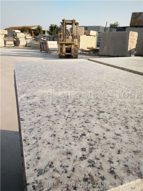 China Bala Flower White Granite Tile,Bianco Sardo,Ocean White Bala White Flower Granite Tiles,Floor Covering Tiles/Walling Tiles