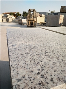 China Bala Flower White Granite Tile,Bianco Sardo,Ocean White Bala White Flower Granite Tiles,Floor Covering Tiles/Walling Tiles