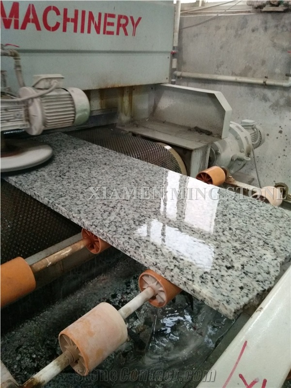 China Bala Flower White Granite Tile,Bianco Sardo,Ocean White Bala White Flower Granite Tiles,Floor Covering Tiles/Walling Tiles
