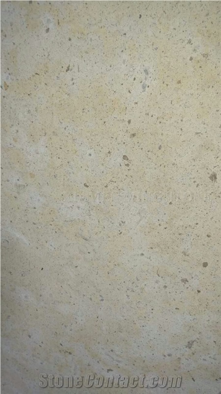 China Beige Limestone Coral Stone Tiles Panel Villa Exterior Wall Cladding,Cream Limestone Slabs Cutting Walling Pattern