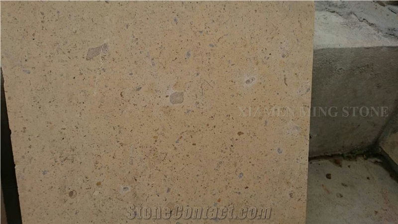 China Beige Limestone Coral Stone Tiles Panel Villa Exterior Wall Cladding,Cream Seashell Stone Slabs Cutting Walling Pattern