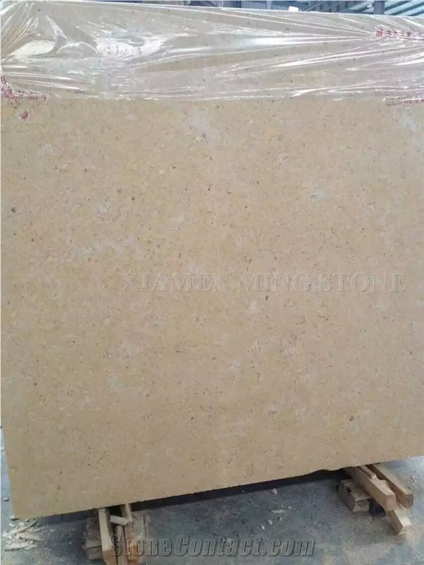 China Beige Limestone Coral Stone Tiles Panel Villa Exterior Wall Cladding,Cream Seashell Stone Slabs Cutting Walling Pattern