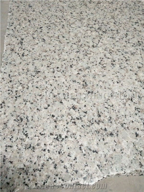 Polished China Bala Flower White Granite Tile,Bianco Sardo,Ocean White Bala White Flower Granite Tiles,Floor Stepping Tiles/Walling Panel