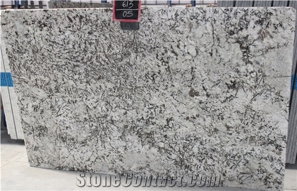 India Alaska White Granite Slabs