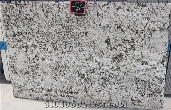 India Alaska White Granite Slabs