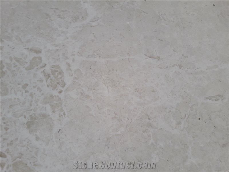 French Vanilla Shell Slabs & Tiles, Perla Nuova Marble Slabs & Tiles
