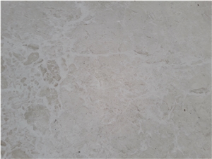 French Vanilla Shell Slabs & Tiles, Perla Nuova Marble Slabs & Tiles