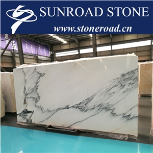 Own Quarry-Factory Calacatta Grey & White / China Arabescato Corchia Marble Slab & Tile &Cut to Size