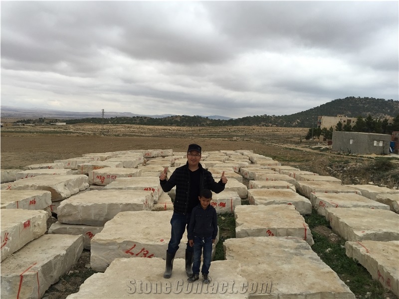 Natural Tunisia Light Beige Limestone, Cheverny/Arum Cream Limestone Blocks, Used for Interior & Exterior Building Stone, Wall Cladding&Floor Covering