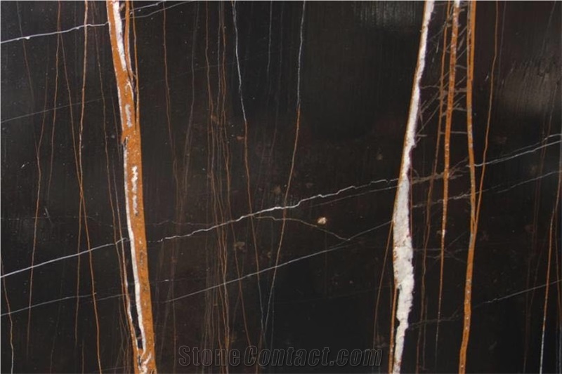 Noir Aziza Marble Slab