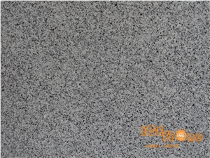 Chinese G640 Granite,G3540 New Grigio Sardo,Padang Gamma,Black Silver,Barry White,Dongshi Bai,Spotted Zebra, Small White Flower, Own Factory