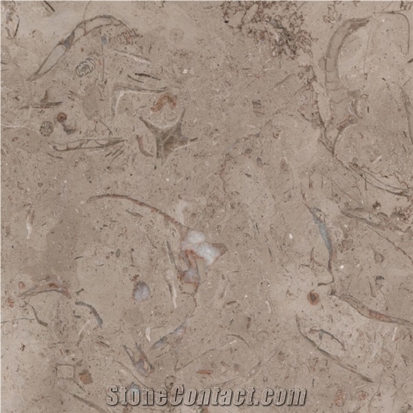 Katrina Slabs & Tiles, Catharina Marble Slabs & Tiles