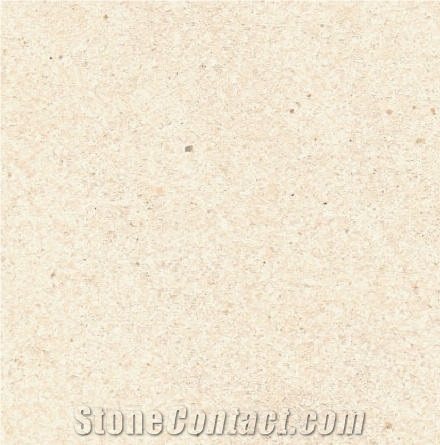 Roche De Bonifacio Calcaire Bonifacio France White Coral Seashell Stone Honed Tiles, Machine Cutting Slabs for Floor Paving Pattern