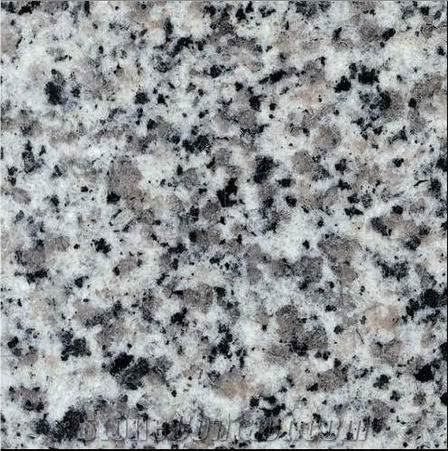 White Royal Granite Sesame Crystal China Bianco Granite Polished Slabs Tiles Wall Cladding Panel,Floor Covering Pattern Villa Exterior Walling Gofar