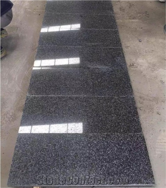 China New G654 Middle Grey Granite,Competitive Price,Directly Factory Quarry Owner with Ce,Tile and Slab,Skirting Step Floor Wall Covering