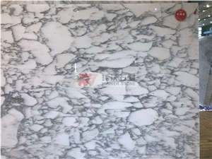Arabescato Corchia Marble Versailles Jumbo Pattern Slabs
