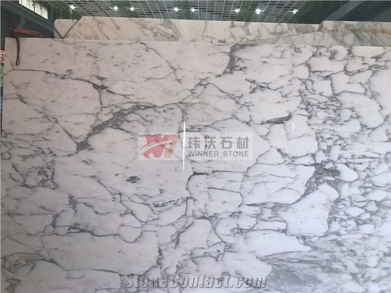 Arabescato Corchia Marble Versailles Jumbo Pattern Slabs