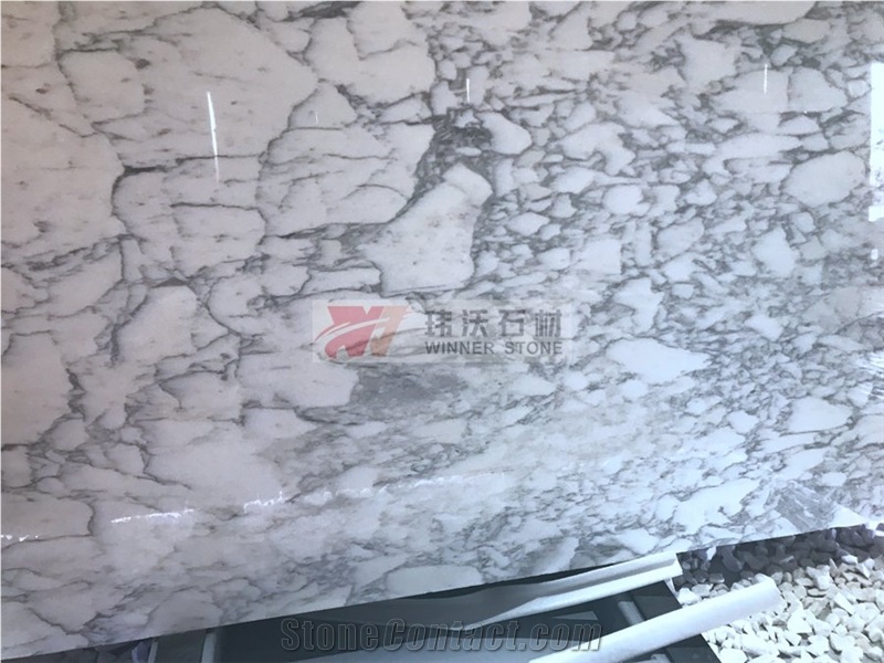 Arabescato Corchia Marble Versailles Jumbo Pattern Slabs