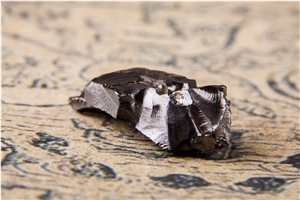 Elite Shungite Gravel Chips for Water Purification
