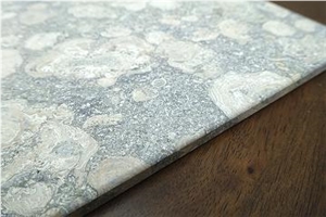 Square Fossil Trivet