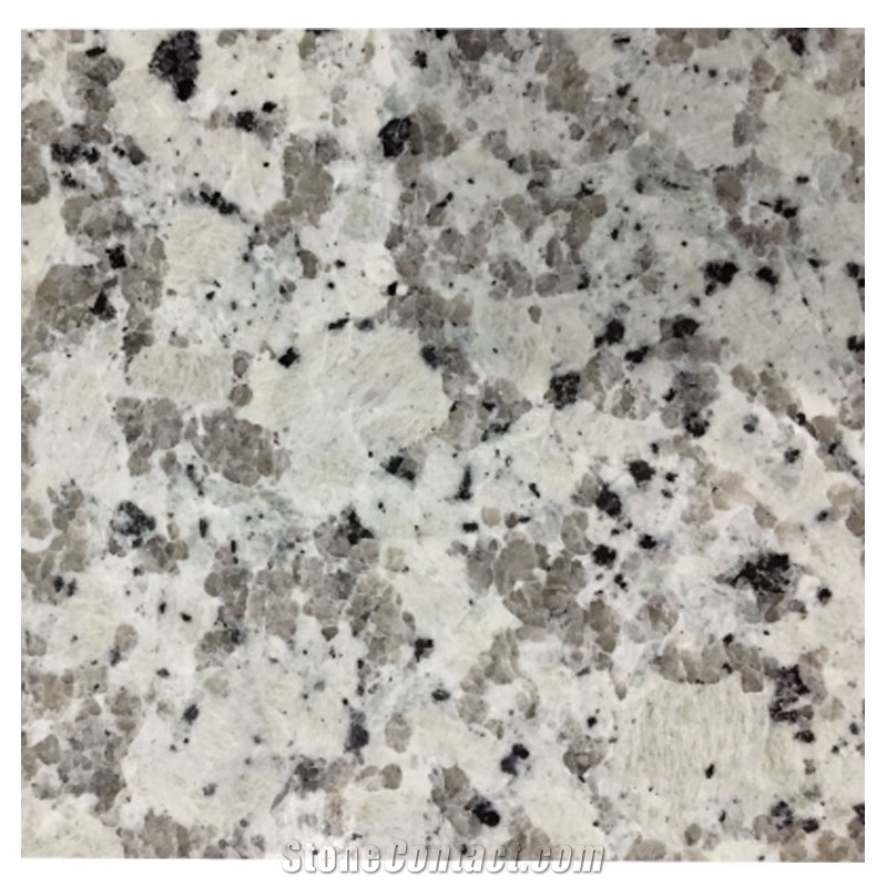 Bala White Granite Countertops, China Bala Flower Granite Kitchen, Chinese White Flower Islands Top, Fujian Cheap Light Grey Natual Stone