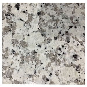 Bala White Granite Countertops, China Bala Flower Granite Kitchen, Chinese White Flower Islands Top, Fujian Cheap Light Grey Natual Stone