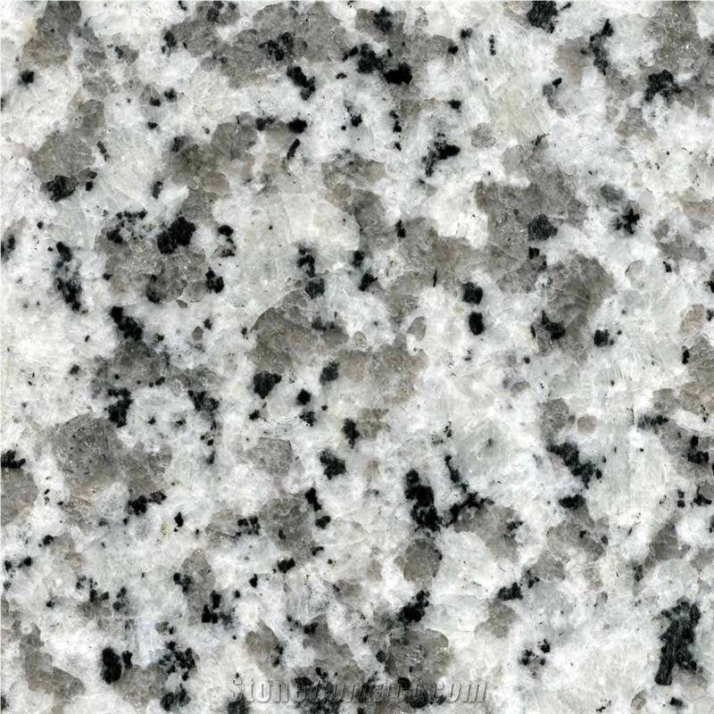 China G439 Granite Vanity Tops/Kitchen Surfaces/Granite Countertops/Bianco Sardo,Ocean White,Light Grey Vanities