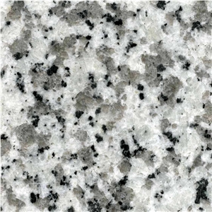 China G439 Granite Vanity Tops/Kitchen Surfaces/Granite Countertops/Bianco Sardo,Ocean White,Light Grey Vanities