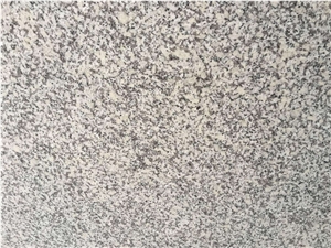 Hubei G603 Lunar Pearl Granite Countertops/G603 Royal White Vanities/Bianco Crystal/China Bianco Sardo