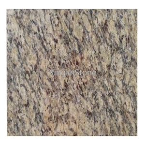 New Venetian Gold Granite Slabs/Tiles, Blocks Owner for New Venetian Gold,Brazil Gold Granite Big Slabs for Kitchen and Bath, Popular Yellow Granite