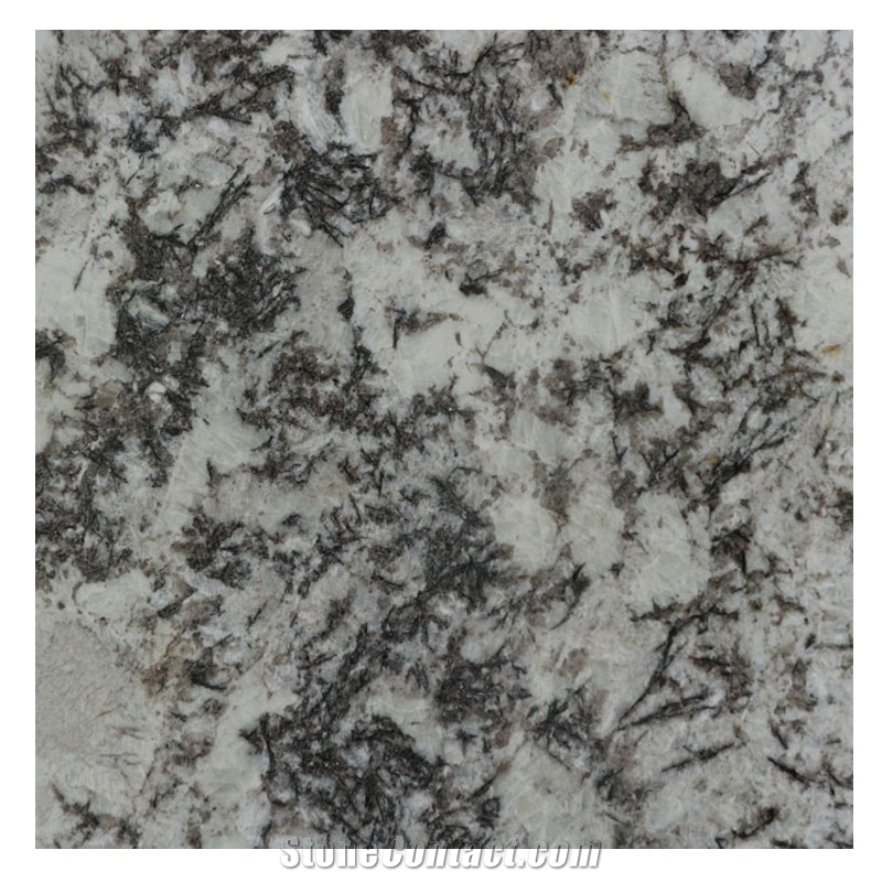 Snow White Granite, Brazil White Granite, White Granite Slabs for Counter Top, Kitchen Counter Top, White Vanities