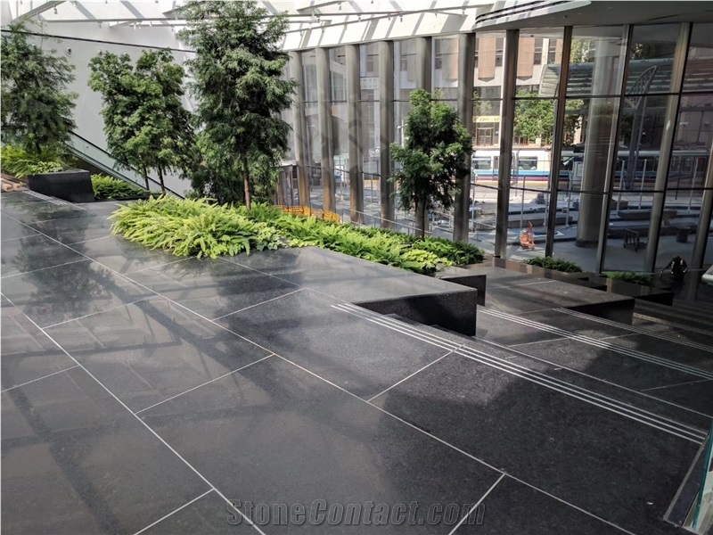 Angola Black Granite Stair Treads and Threshold