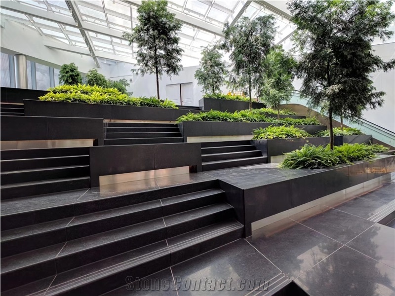 Angola Black Granite Stair Treads and Threshold