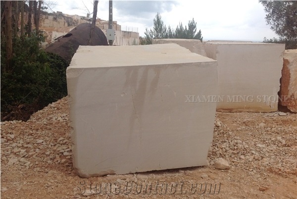 Block in Stock Fatima Creme Limestone Block,Light Beige Coral Stone Blocks Imported