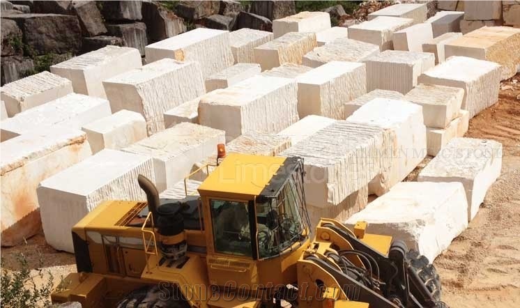 Block in Stock Fatima Creme Limestone Block,Light Beige Coral Stone Blocks Imported