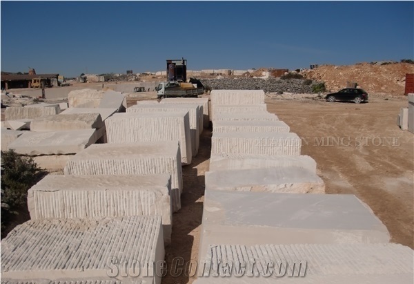 Block in Stock Fatima Creme Limestone Block,Light Beige Coral Stone Blocks Imported