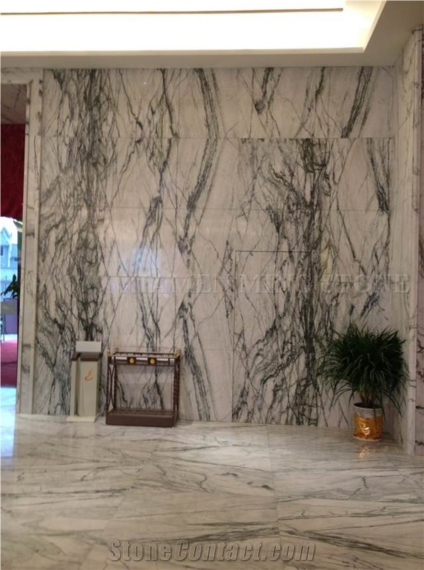China Clivia Marble Polished Walling Tiles, Machine Cutting Slab,Clivia White Marble Green Veins for Hotel Lobby Floor Covering Pattern