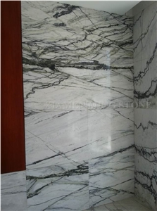 China Clivia Marble Polished Walling Tiles, Machine Cutting Slab,Clivia White Marble Green Veins for Hotel Lobby Floor Covering Pattern