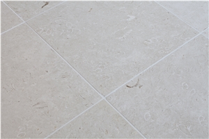 Cream Bella Seashell Marble Honed Machine Cutting Tiles for Interior Walling,Cremo Bella Marble Panel for Floor Covering Pattern