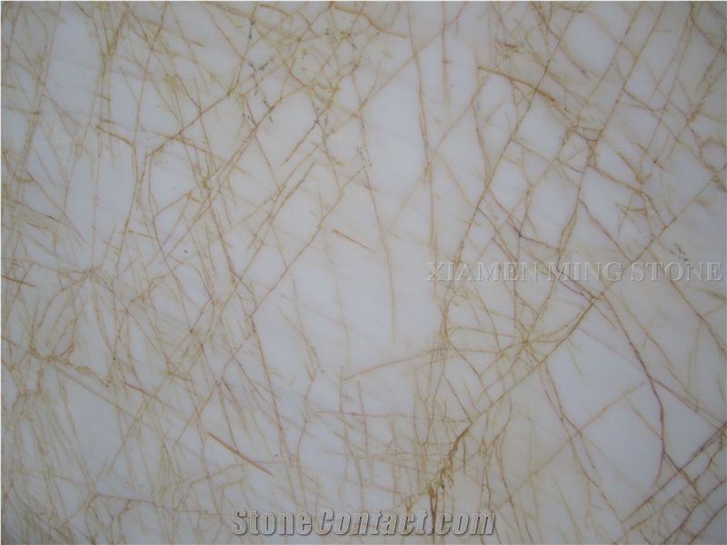 Golden Spider Arachnia Polished Marble Slabs Machine Cutting Tiles,Panels for Hotel Floor Paving,Walling Tiles,Pattern Tiles