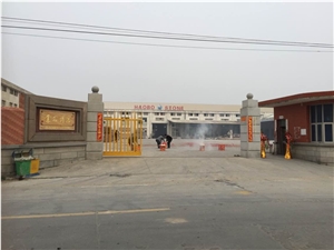New Cheap Brazil Granite Wall Covering Slabs Floor Tiles Granite Skirting Porphyry Flooring Stone