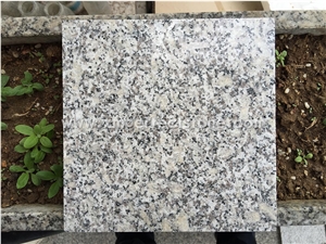 Natural Stone China Quarry Manufacture, Chinese Cheap Grey Granite G603 Anti-Slip Flamed Stairs, Steps and Rises for Building Projects