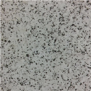 Bianco Montorfano Granite Slabs Tiles Italy Bianco Montorfano Granite Slabs Tiles Italy