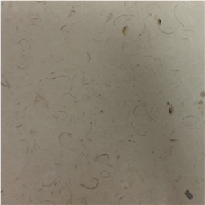 Coquina Shellstone Limestone Slabs Tiles Mexico Coquina Shellstone Limestone Slabs Tiles Mexico