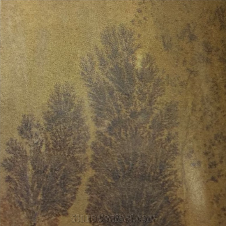 Fossil Sandstone Slabs Tiles