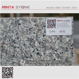 G436 Swan White Dallas Granite Goose Grey Gray Cheaper Stone
